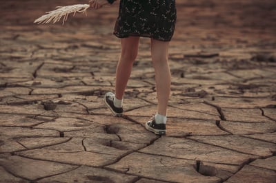 Wie beeinflusst der Klimawandel die Weinproduktion im Ahrtal?